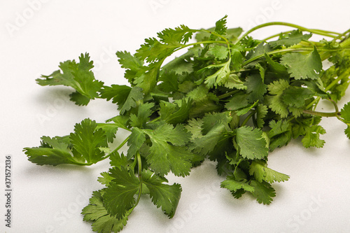 Green coriander or cilanto leaves heap photo