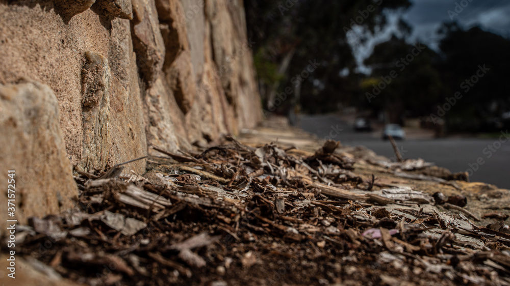 Fototapeta premium Sticks, bark texture mulch on rock wall