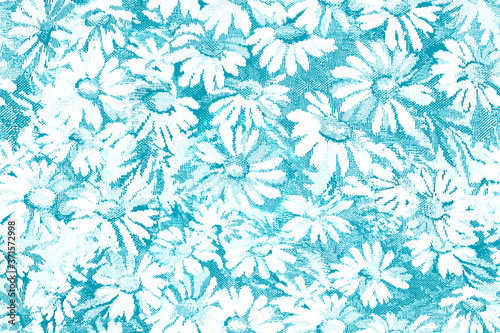 White daisies on a blue background. Seamless pattern.