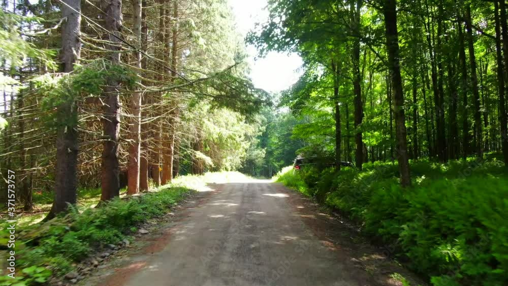 Aerial View of an Empty Road Neighborhood Road in the Woods Aerial View of an Empty Road Neighborhood Road in the Woods