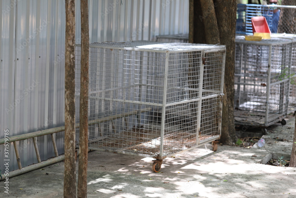 Old steel mesh in Thailand