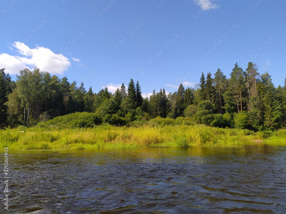 Wild nature and beautiful resting place. Magical natural landscape. forest with a channel.