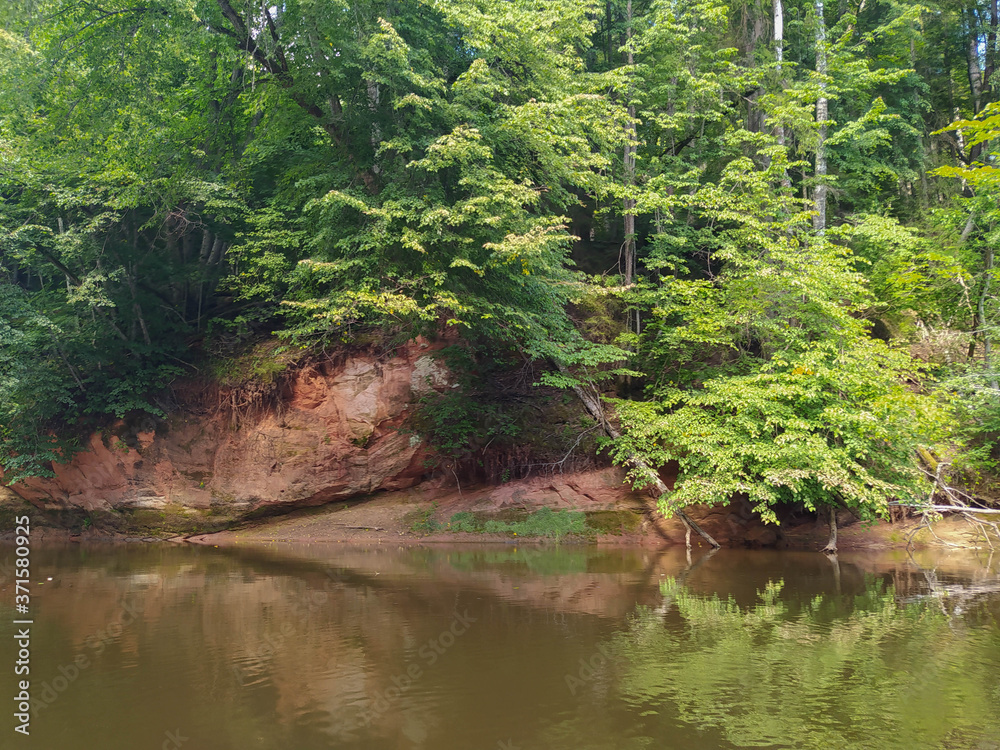 Wild nature and beautiful resting place. Magical natural landscape. forest with a channel. Wild nature and beautiful resting place. Magical natural landscape. forest with a channel.
