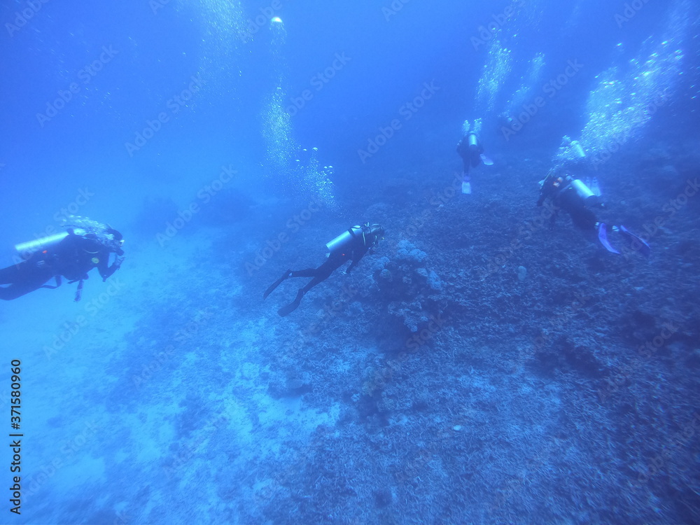 scuba divers scuba divers