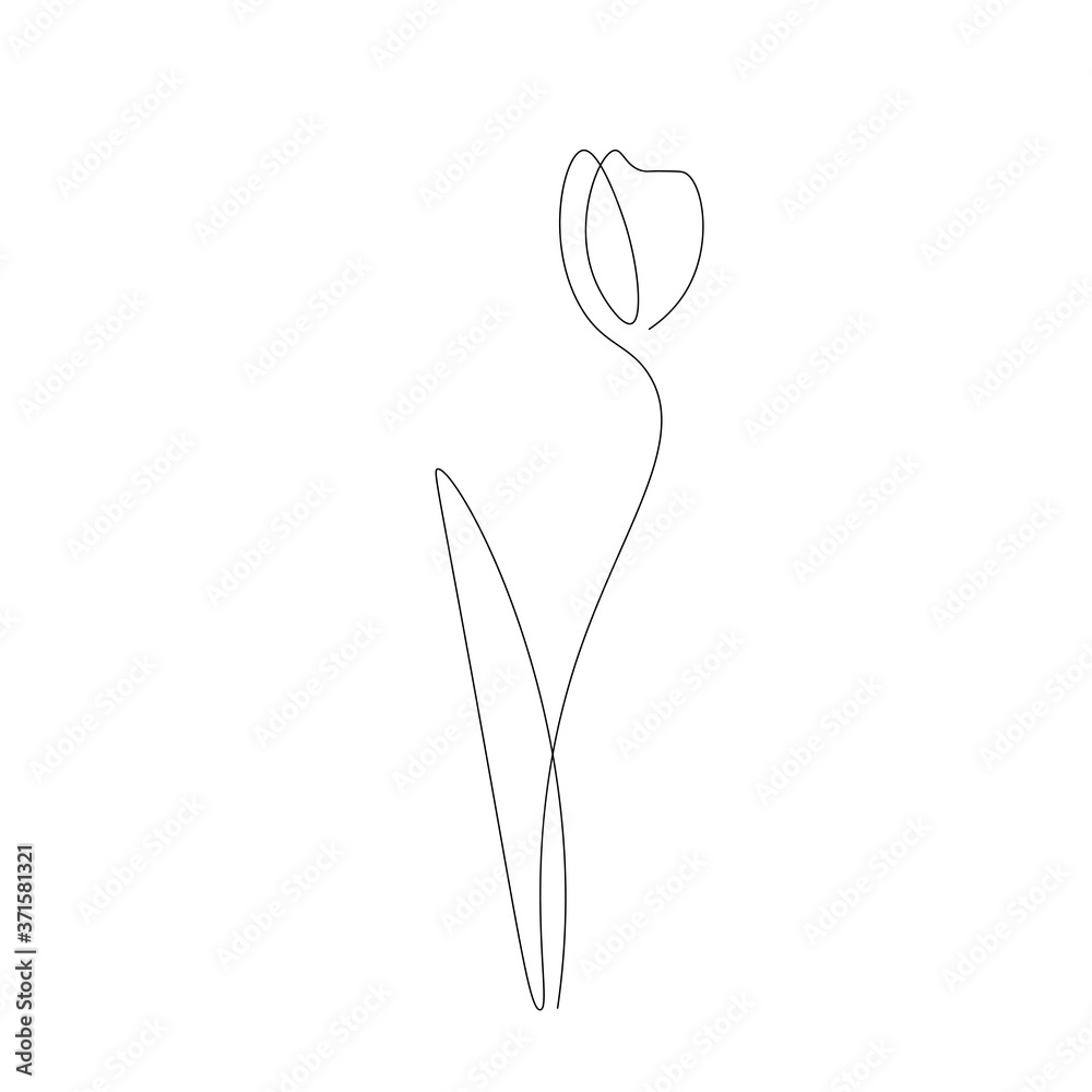 Flower on white background, vector illustration Flower on white background, vector illustration