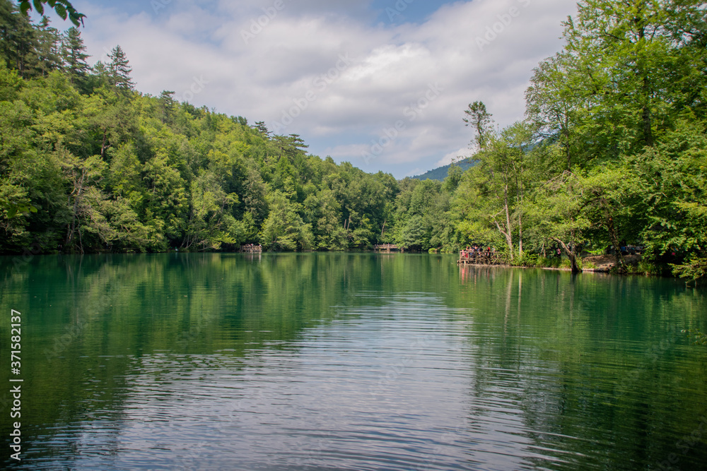 lake in the forest