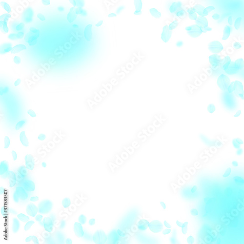 Turquoise flower petals falling down. Mind-blowing