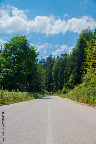 road in the forest