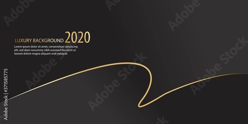 Abstract background black colour with line gold vector illustration