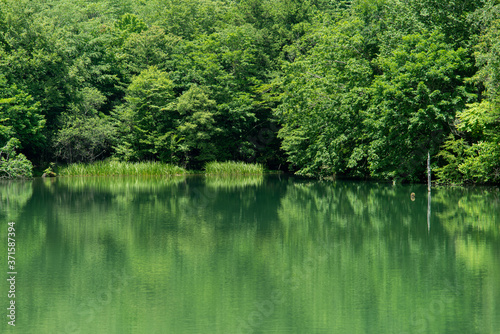 緑が美しい 茶臼山高原 芹沼池