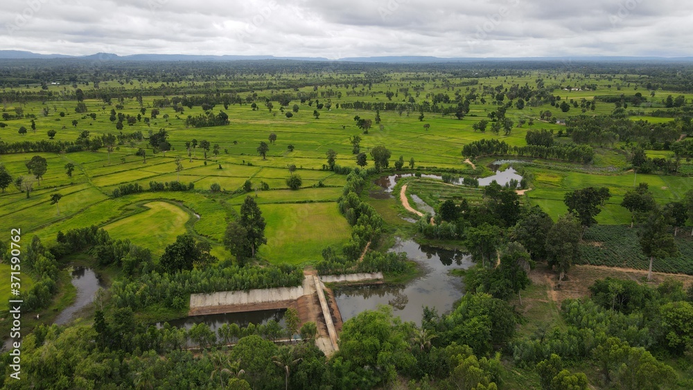 Naklejka premium landscape of the river