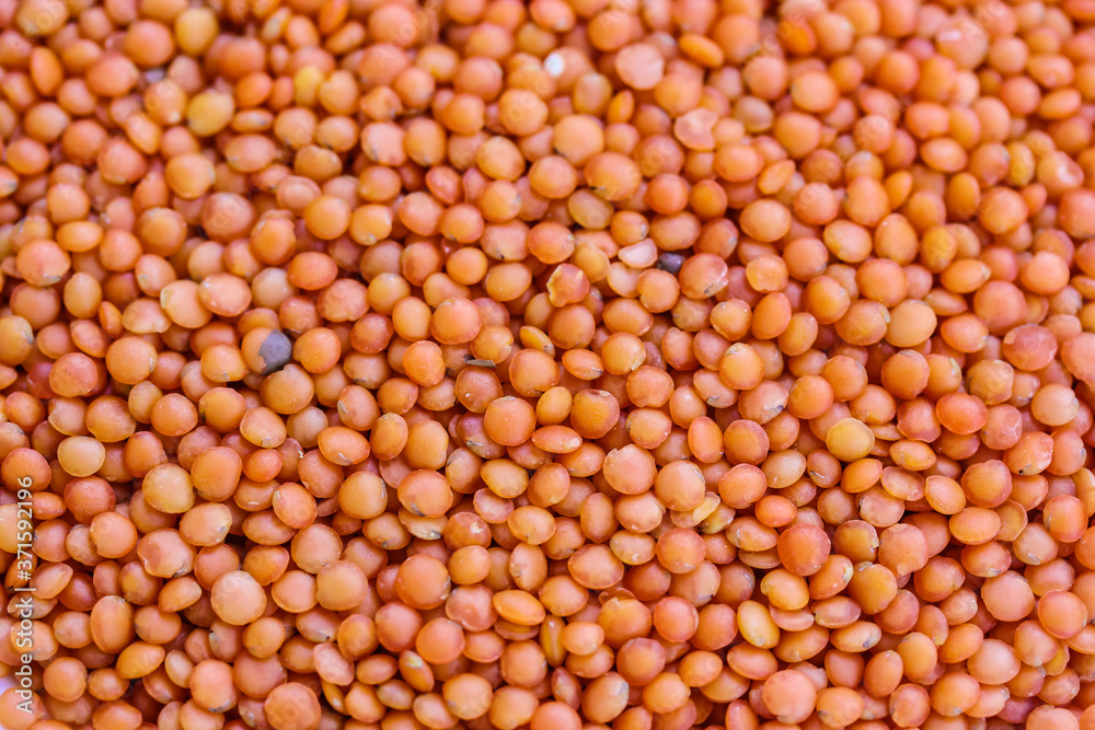 Red lentils close-up. Background with lots of organic groats. Red lentils close-up. Background with lots of organic groats.