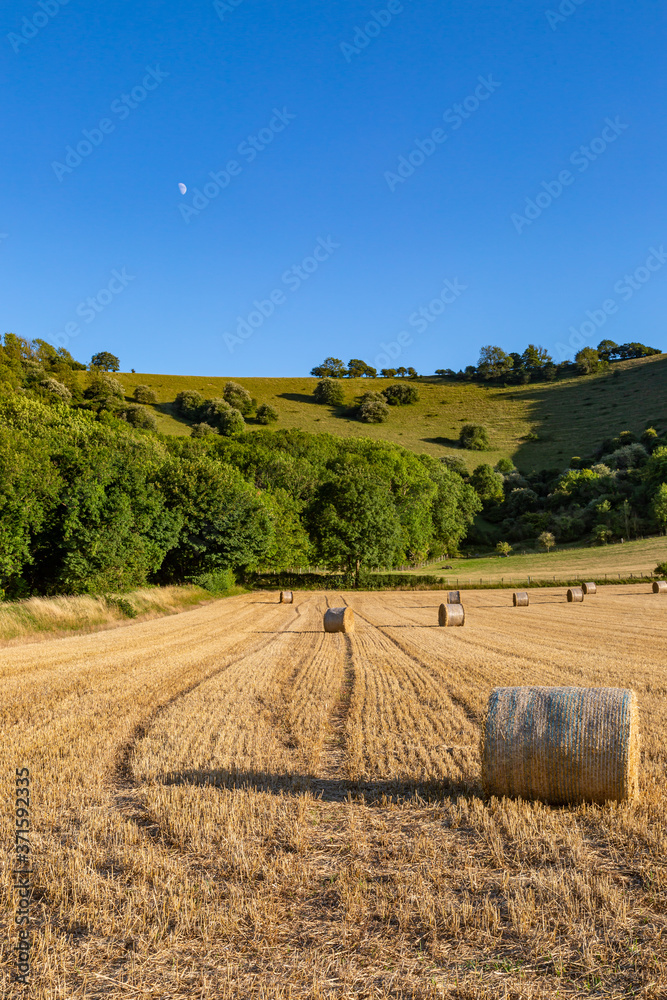 Hay Bales at Harvest Time