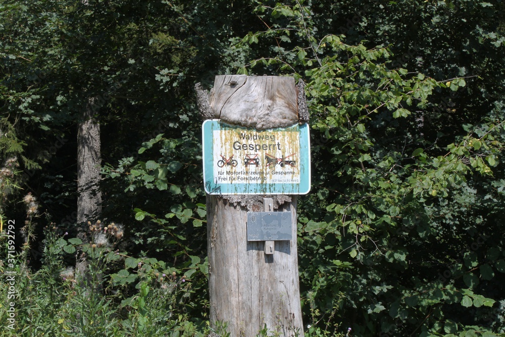Schild ist in Baum eingewachsen Schild ist in Baum eingewachsen