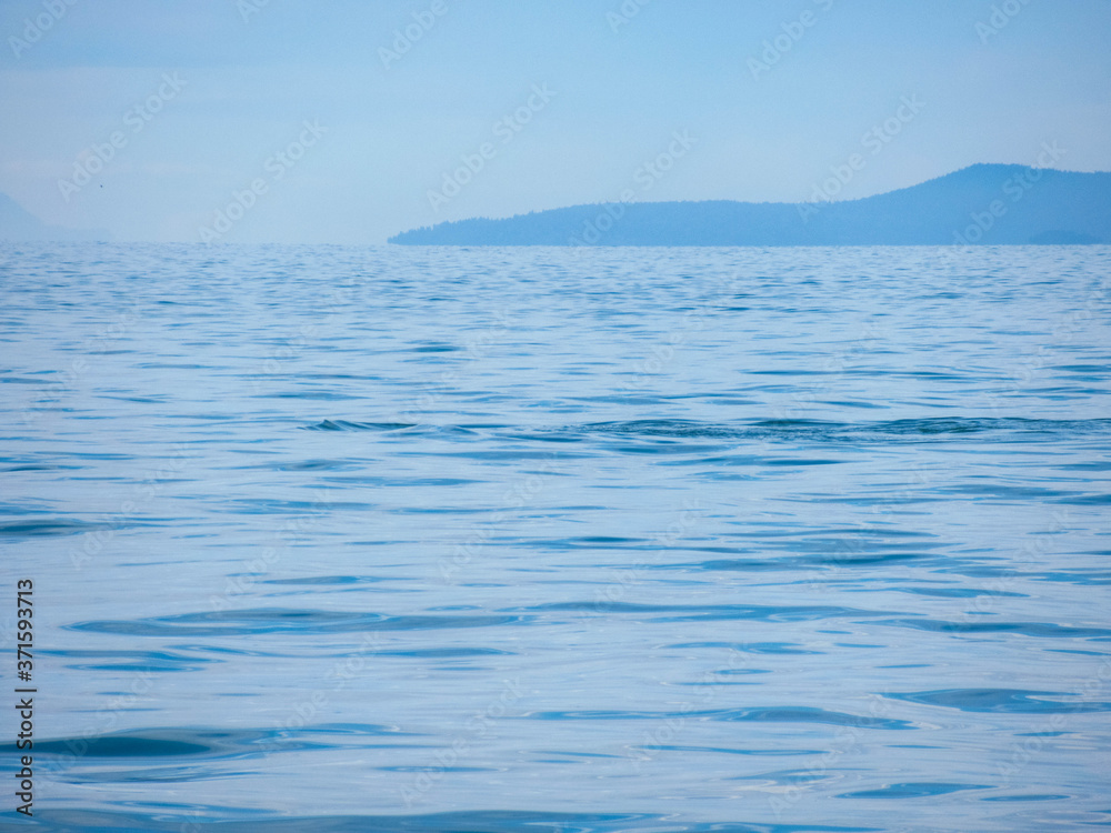 Humpback whale in the Pacific Ocean near Vancouver on a beautiful summer day. 