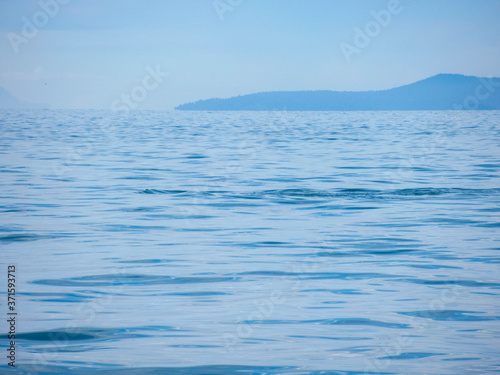 Wallpaper Mural Humpback whale in the Pacific Ocean near Vancouver on a beautiful summer day.  Torontodigital.ca