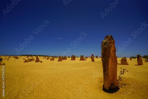 The Pinnacles Desert (Western Australia)