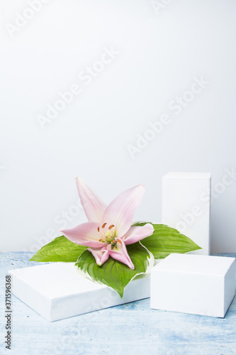 Layout of three geometric forms for the podium using the colors of lilies and green leaves. Vertical orientation