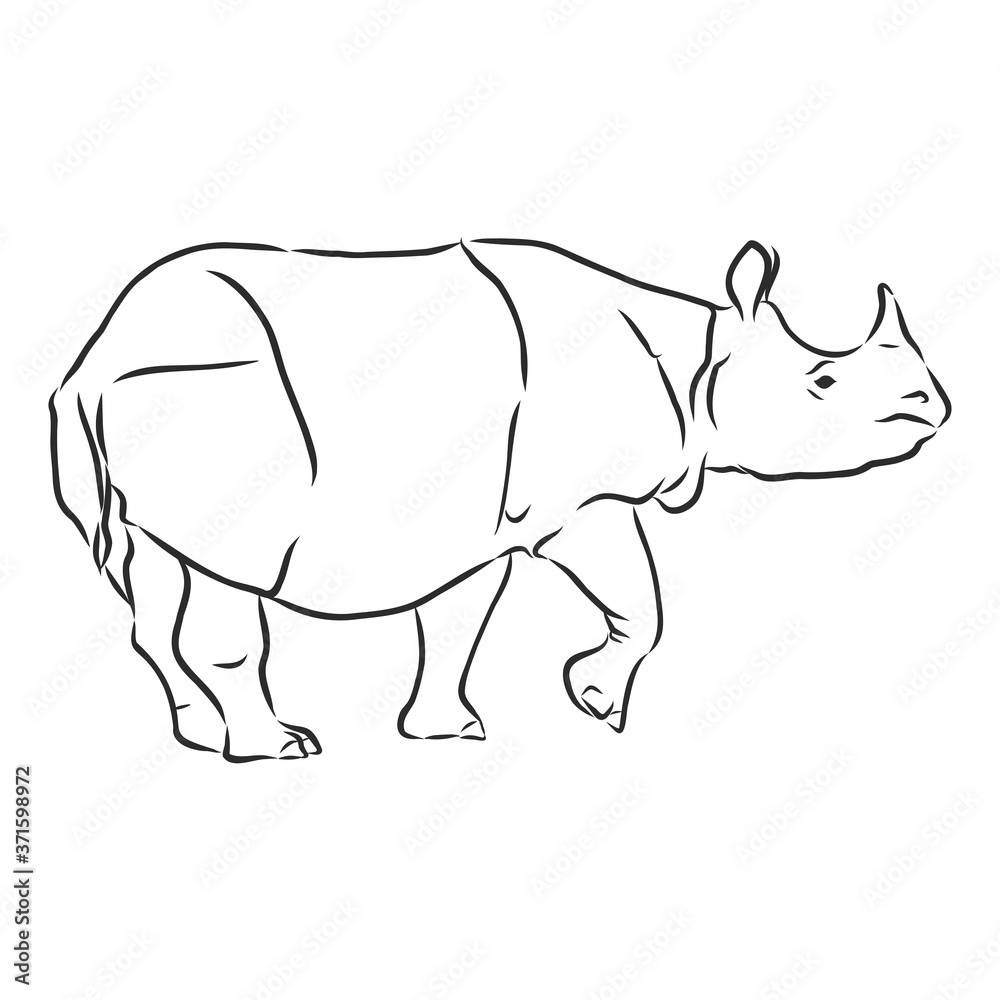 African rhinoceros Wild animal sketch, ink. Vector illustration for label. safari symbol.