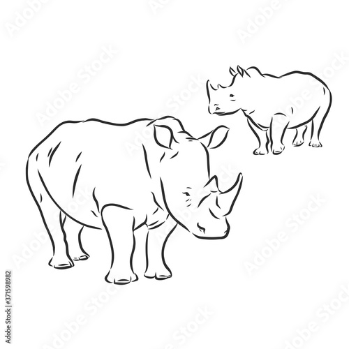African rhinoceros Wild animal sketch  ink. Vector illustration for label. safari symbol.