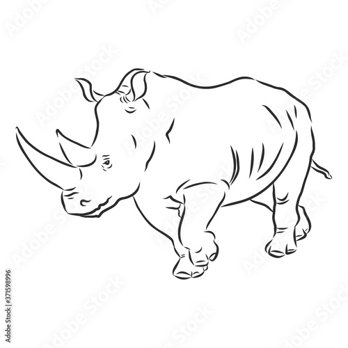 African rhinoceros Wild animal sketch  ink. Vector illustration for label. safari symbol.