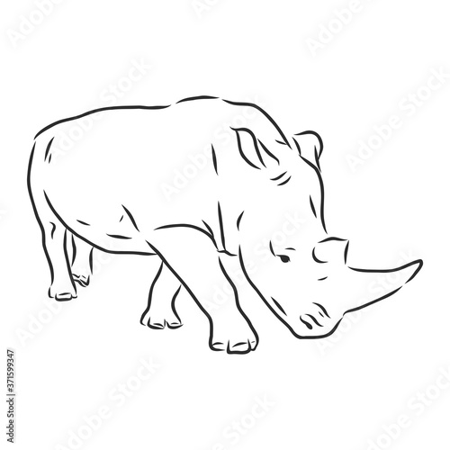 African rhinoceros Wild animal sketch, ink. Vector illustration for label. safari symbol.