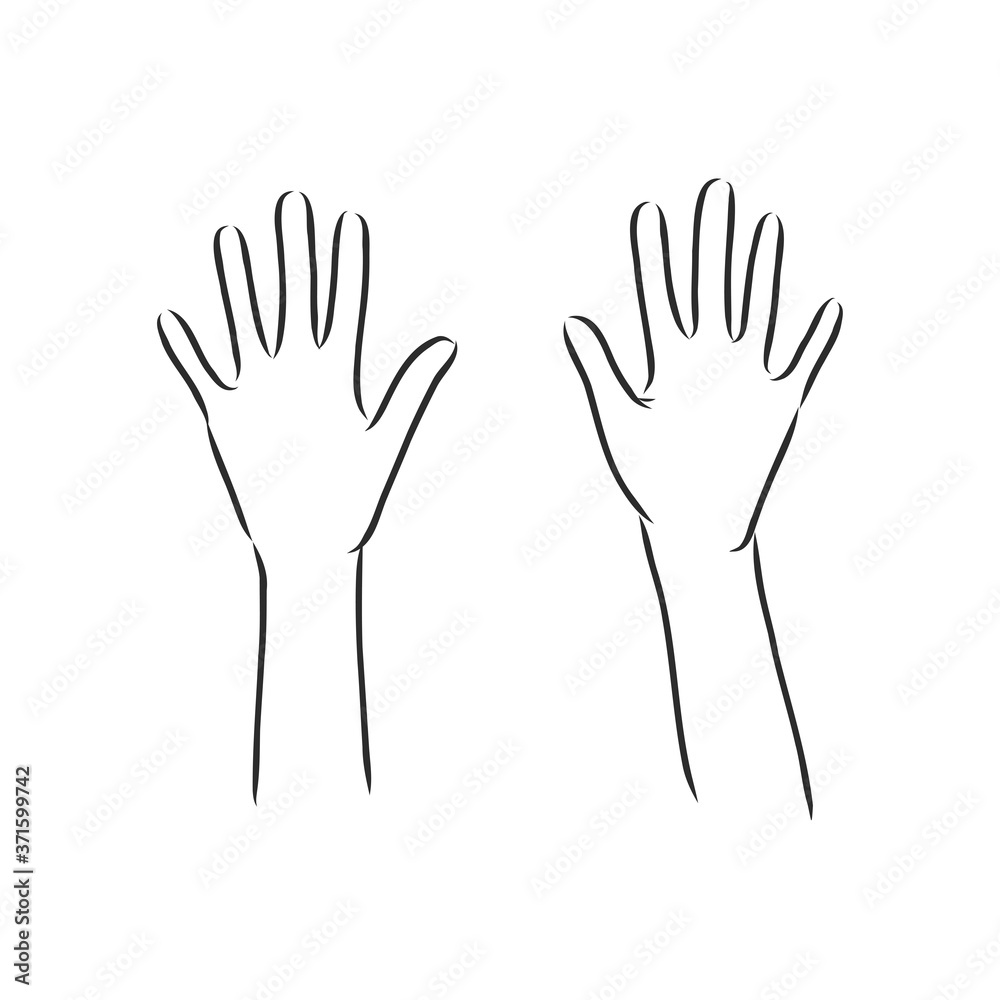 Isolated vector illustration. Elegant female hand. Hand drawn linear sketch.