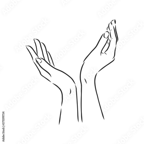 Isolated vector illustration. Elegant female hand. Hand drawn linear sketch.