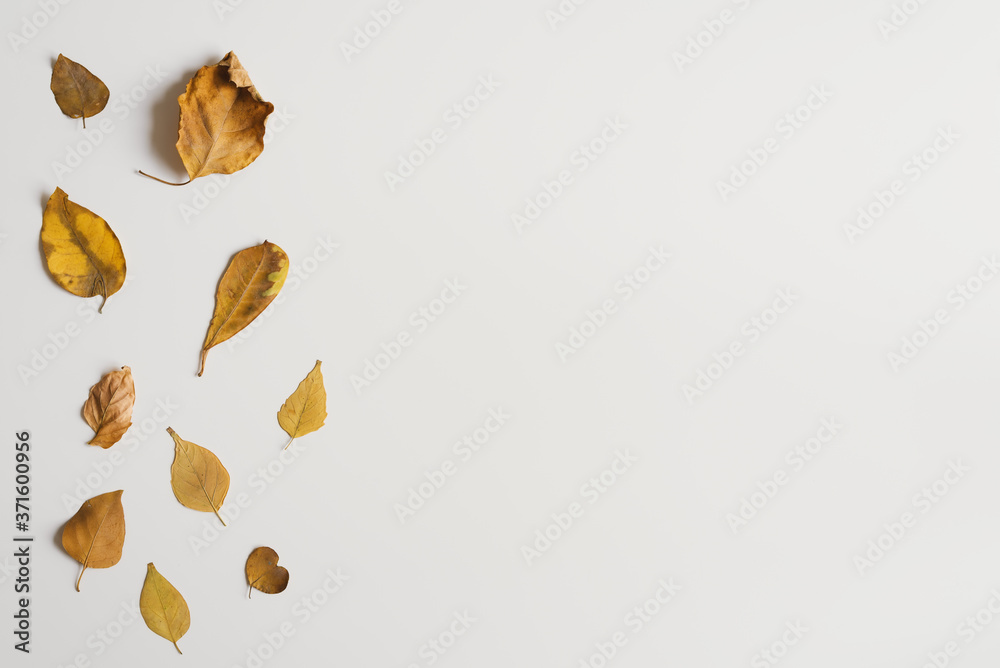 Autumn background with yellow leaves on white table. Fall season. Dry leaves, top view, copy space Autumn background with yellow leaves on white table. Fall season. Dry leaves, top view, copy space