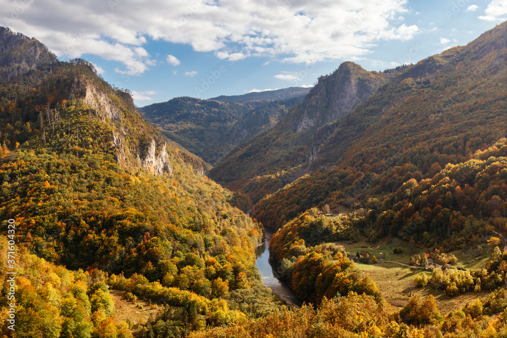 River between autumn mountains. Canyon panorama in Durmitor national park, Montenegro.
