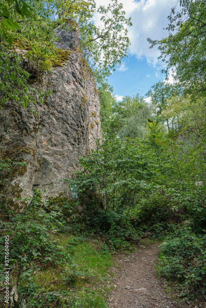 Path along a rock wall of the Stenzelberg. Path along a rock wall of the Stenzelberg.