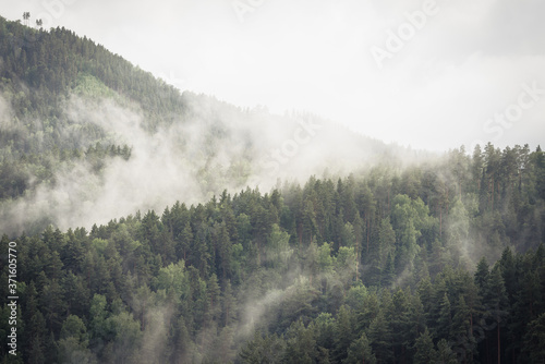 White smoke in the wooded taiga mountains from burning fire. © Evgenii
