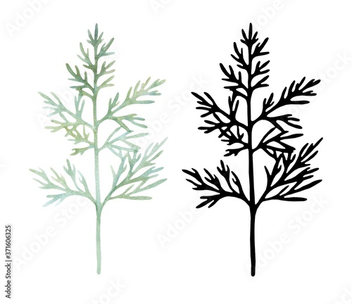Set of elements for design and scrapbooking. Watercolor botanical illustration of a green twig and its black silhouette on a white background.