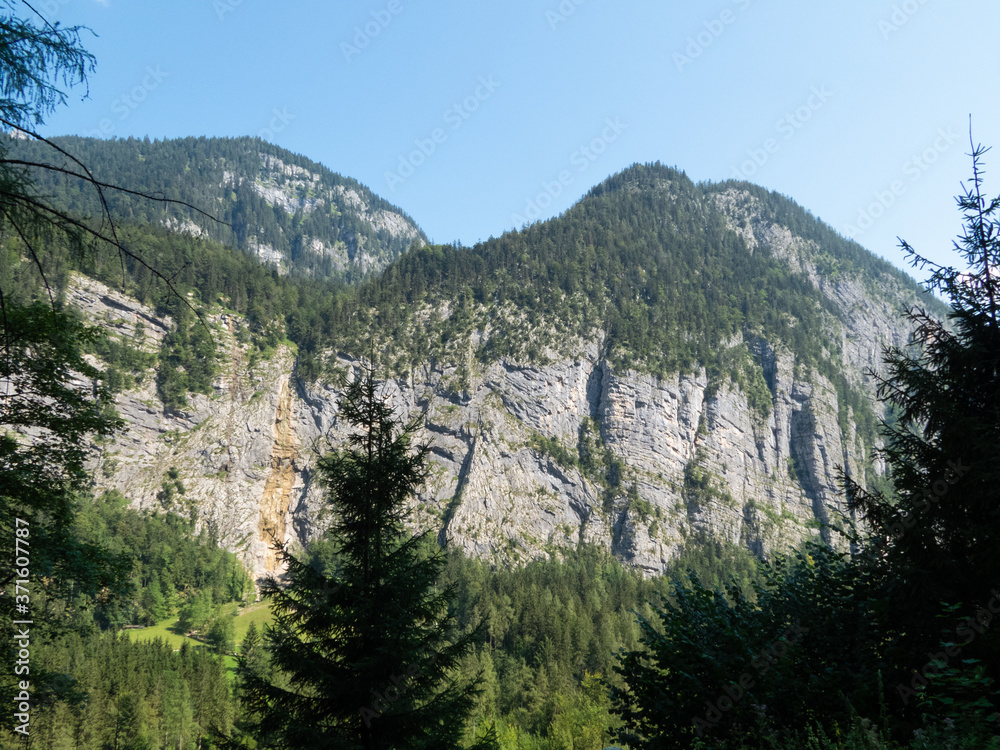 Mountain range in front of blue sky, forest and single trees in foreground