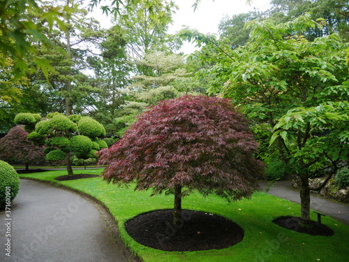 Irish National & Stud Gardens, Brallistown Little, Irland photo