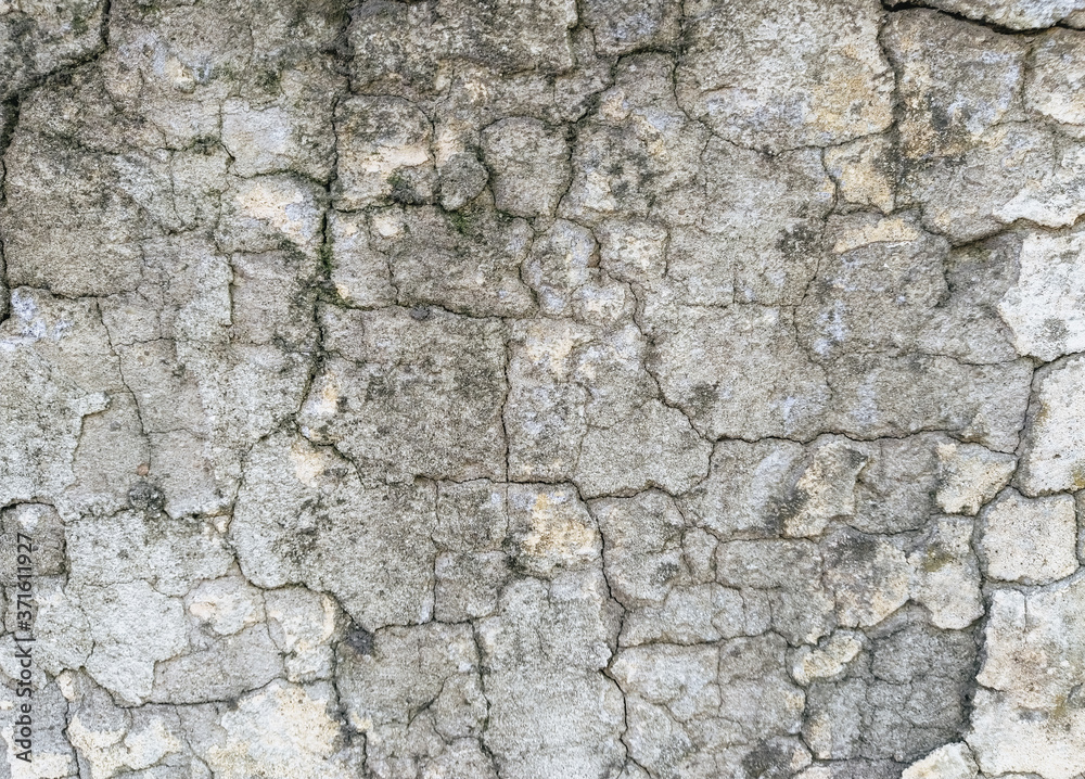 Wall background made of cracks. The texture of gray, dirty, cracked concrete.