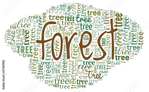 Can't see the forest for the trees - word cloud isolated on a white background.