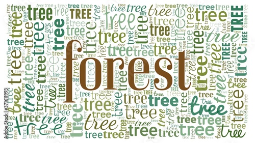Can't see the forest for the trees - word cloud isolated on a white background.