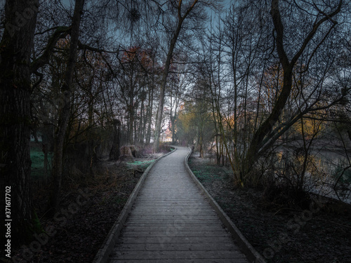 Chemin fantastiques dans les bois © Pierre
