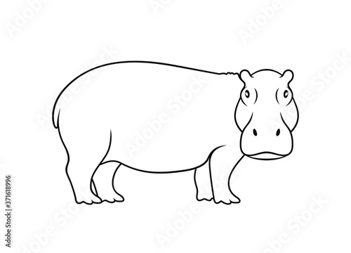Hippopotamus  outline. Isolated hippopotamus on white background