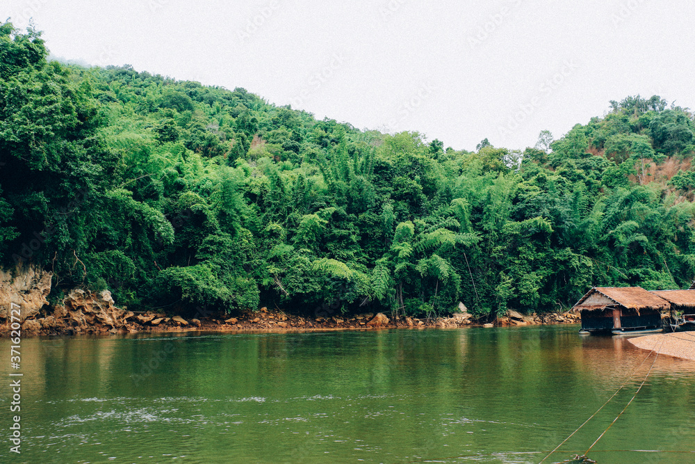Obraz premium the river in the jungle