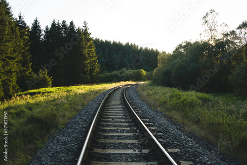 Forest Railway Sunset