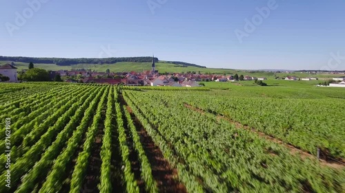 France, Champagne, regional park of Montagne de Reims, Aerial view of Chamery photo