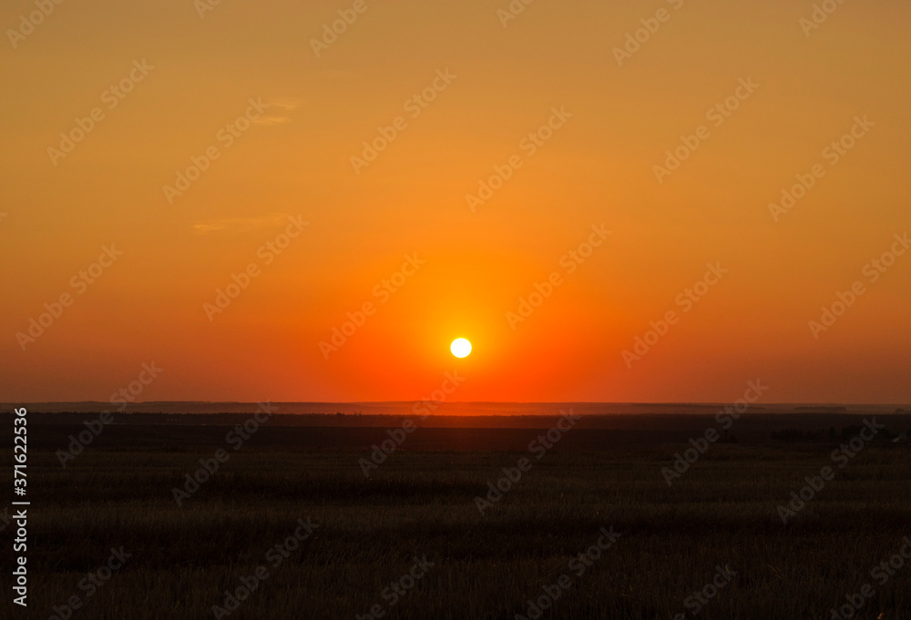 sunset over the field. bright orange sun