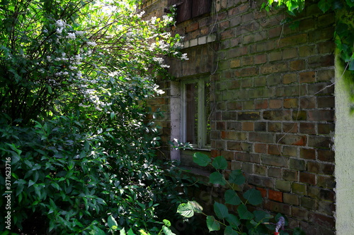 Okno i boczna ściana starej wiejskiej kuchni letniej