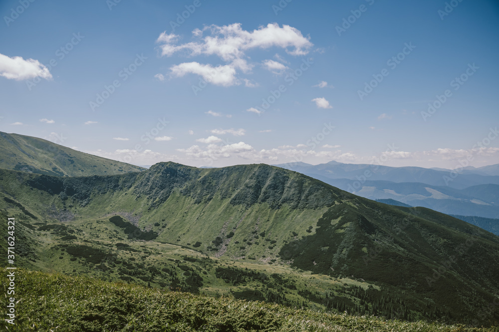 A large green field with a mountain in the background