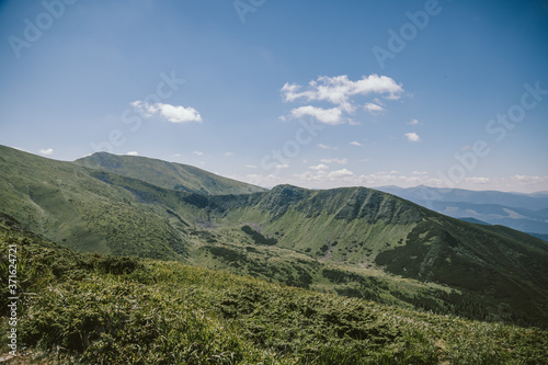 A field with a mountain in the background