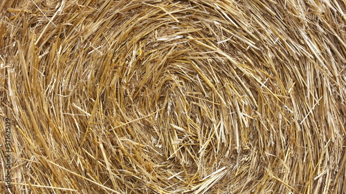 background, hay, straw, texture, grass