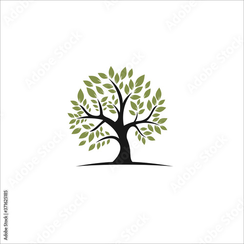 tree logo design silhouette vector © novitasary