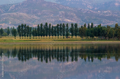 uchali lake with trees reflection in still water , landscape with lakes and mountains  photo